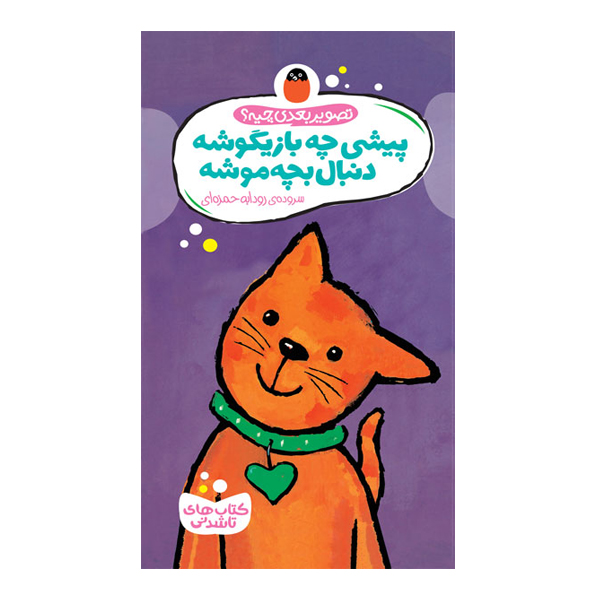 پیشی چه بازیگوشه دنبال بچه موشه