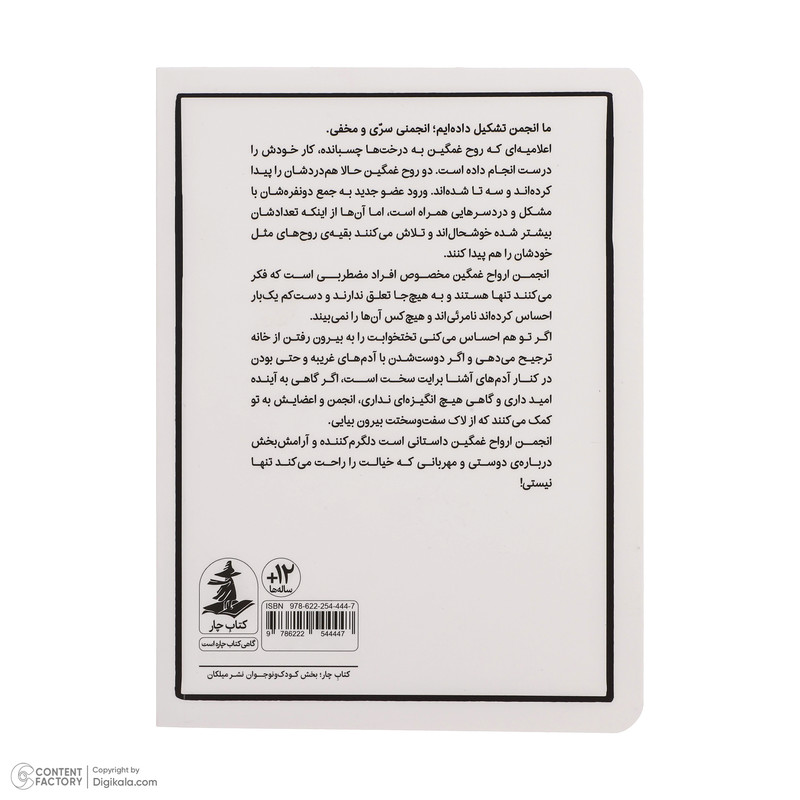 کتاب انجمن ارواح غمگین 2 اثر لیز مدینگز نشر میلکان