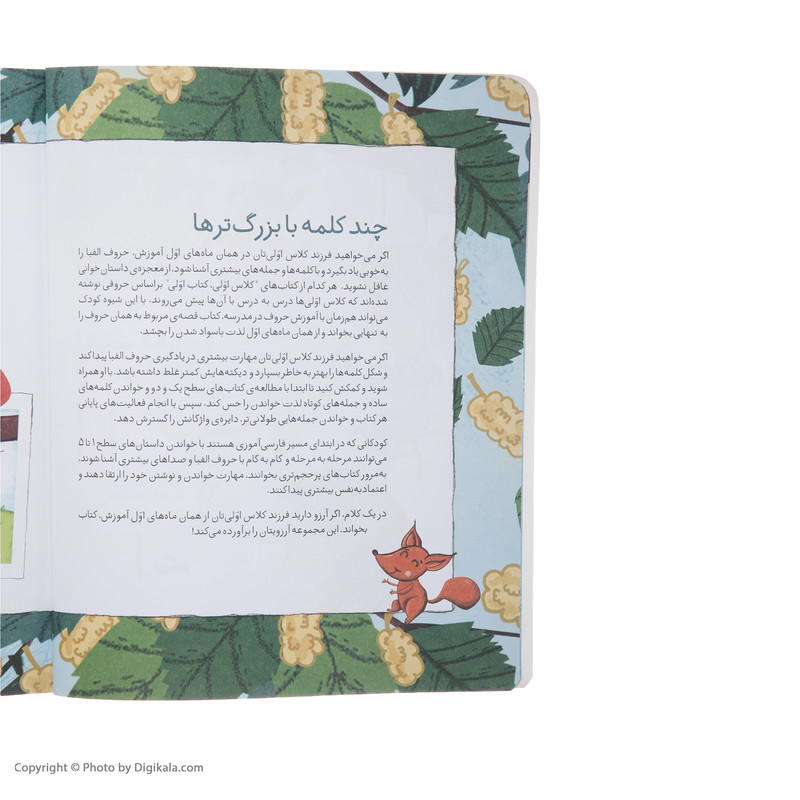 کتاب کلاس اولی کتاب اولی توت در سبد اثر معصومه یزدانی نشر افق